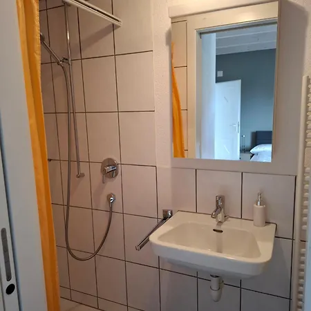 Zwinglis Apartment *