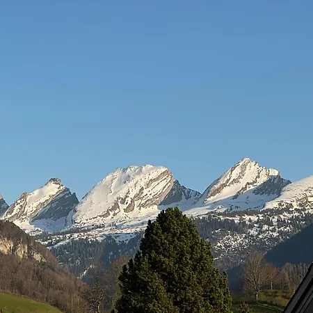 Zwinglis * Nesslau