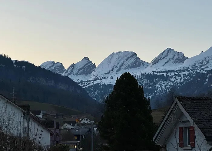 Appartement Zwinglis