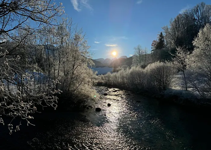 Appartement Zwinglis *